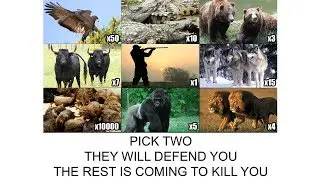 Animal Fight! Pick 2 to Defend You, the Rest Want to Kill You