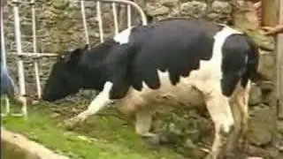 Robbie Williams - The 80s