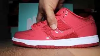 Whats in your box? "Ruby Red Slipper" Nike SB