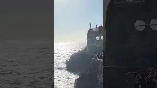 The 