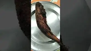 #shorts #fishfry #kilangafishfry#kilanga #ladyfish#foodie #foodiewhatsappstatus #fish #seafoodlover