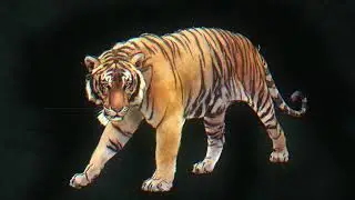 Bionic Festival - Lost Species Day