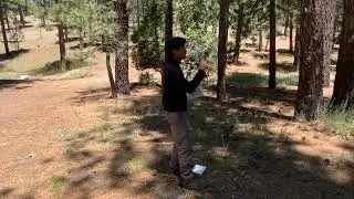 Birding Basics