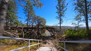 FPV 5