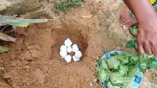 trabalho para Exu trazer dinheiro pt 2-