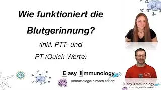 Season 11: Folge 5 - Das kleine Blutbild - Blutgerinnung