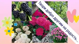 Обзор посылки от Анны 