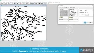 Using the threshold tool to convert an image to black and white