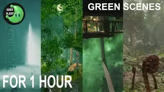 Peaceful Green Scenes FOR 1 HOUR