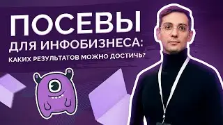 Посевы для инфобизнеса: каких результатов можно достичь?