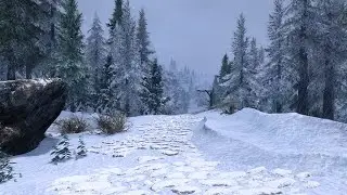 Skyrim SE beta test с модами