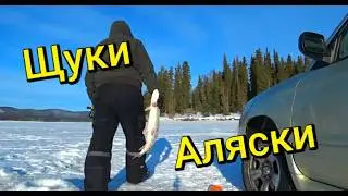 Первая щучья рыбалка на Аляске.