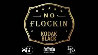 Kodak Black No Flockin Clean