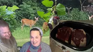 Cooking Brisket, Plus Scenes of Farm, Wildlife, and Nature