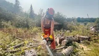 A HUGE Surprise! And Tree Felling/Bucking of Course.