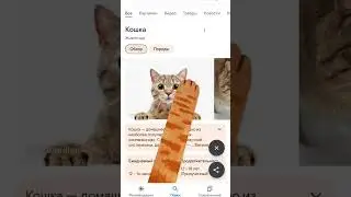 это работает не вру 