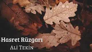 Ali Tekin - Hasret Rüzgarı ( Lyrics Video )