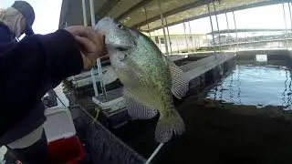 How To Catch Crappie Around Docks