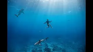 VLOG #34 Fakarava Part 2