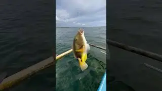 Go fishing in the middle of the sea