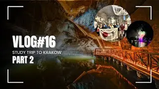 Vlog#16: Study Trip to Krakow Part 2 | Wieliczka Salt Mine | Dragon Festival | Poland