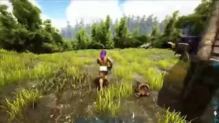 RIP Basilo (2019-2019) Dino Storage v2 poof glitch