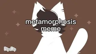 metamorphosis | meme | animation (flipaclip)