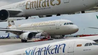 Chennai flight spotting international aircrafts at ramp #abudhabi #colombo #dubaiairport #maaairport