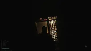 Tarkov, when their brightness is low...