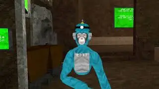 Channel trailer lol