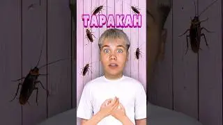 РОБОТ ТАРАКАН ЗАХВАТИЛ МОЙ ДОМ! #нонале