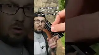 I Save The Dog In Fire 