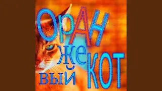 Оранжевый кот
