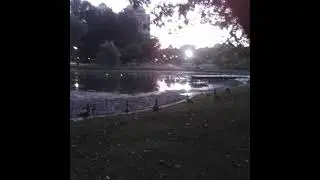 (free for profit) slowdive / shoegaze / slowcore type beat