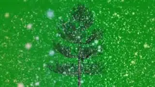 animated tree on Green screen