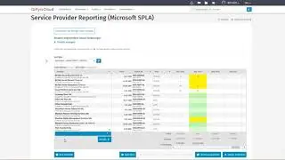 How to: PyraCloud Demo -  Schwerpunkt Funktionsweise & Reporting für SoftwareONE Partner