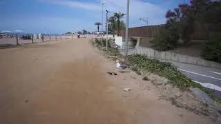 Чайка и мертвая ворона на испанском берегу
