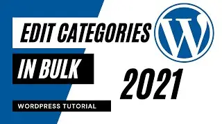 How to Edit Categories in Wordpress for All Blog Posts (2020)