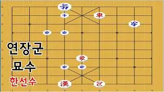 Ending with the Deputy - Janggi [Janggi Master Move]