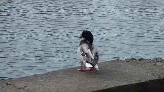 Что это за кладка с другой стороны рва?