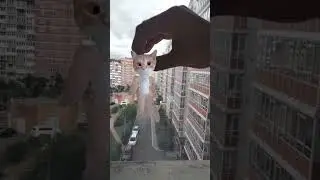 не волнуйтесь с Масей всё хорошо:3 ( идея Mika_kut)