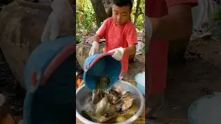 Yummy catfish cooking with country style