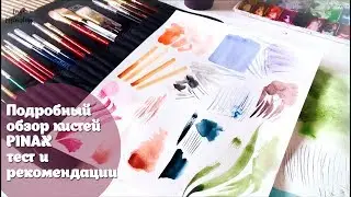 Подробный обзор кистей PINAX|  тест и рекомендации