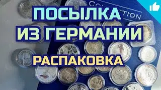 Королевские звери Тюдоров! Йель Бофорта и Лев Англии! Распаковка!