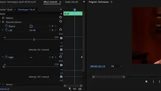 Premiere Pro Tutorial - Fill left with right; Fill right with left
