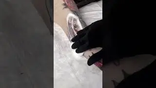 Миленький японский кот 🥰