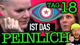 Danni Büchner schlachtet JENS aus! EHEKRISE LIVE-Ausspache! Promi Big Brother 2021 Folge 18