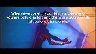 Spider Chase meme