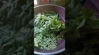 Review Teh Daun moringa bersama madu lebah