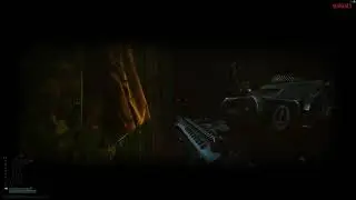 why tarkov